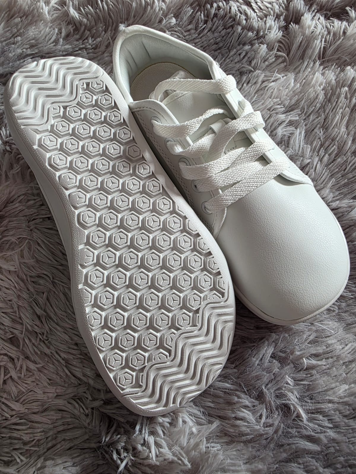 (Calzado) Zapatillas belfort